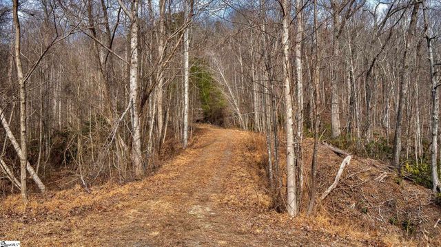 146 Glassy Falls Trail, Travelers Rest, SC 29690