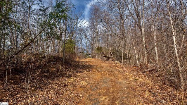 146 Glassy Falls Trail, Travelers Rest, SC 29690
