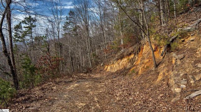 146 Glassy Falls Trail, Travelers Rest, SC 29690