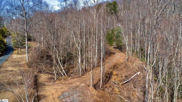 146 Glassy Falls Trail, Travelers Rest, SC 29690