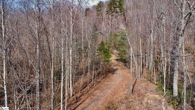 146 Glassy Falls Trail, Travelers Rest, SC 29690