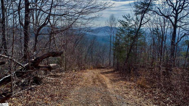 146 Glassy Falls Trail, Travelers Rest, SC 29690