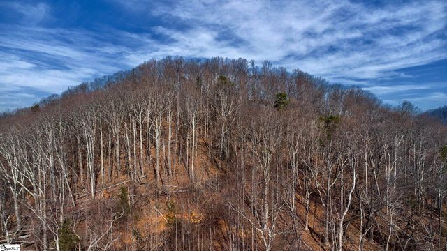 146 Glassy Falls Trail, Travelers Rest, SC 29690