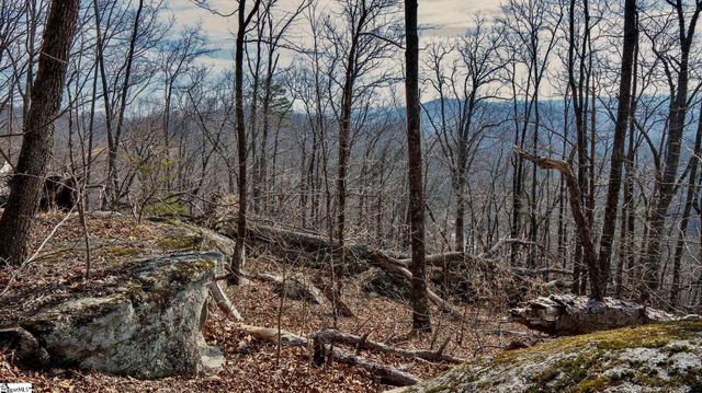 146 Glassy Falls Trail, Travelers Rest, SC 29690