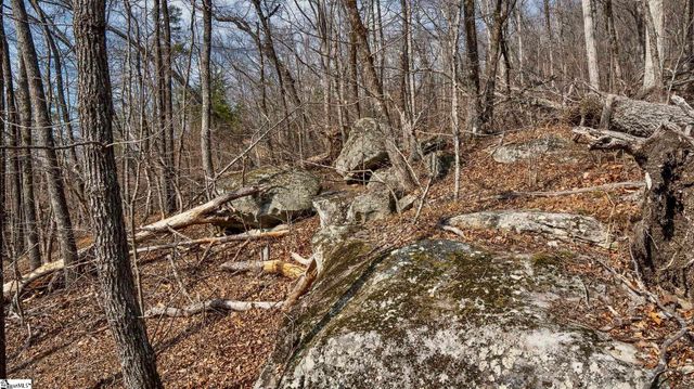 146 Glassy Falls Trail, Travelers Rest, SC 29690