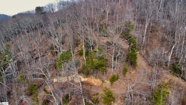 146 Glassy Falls Trail, Travelers Rest, SC 29690