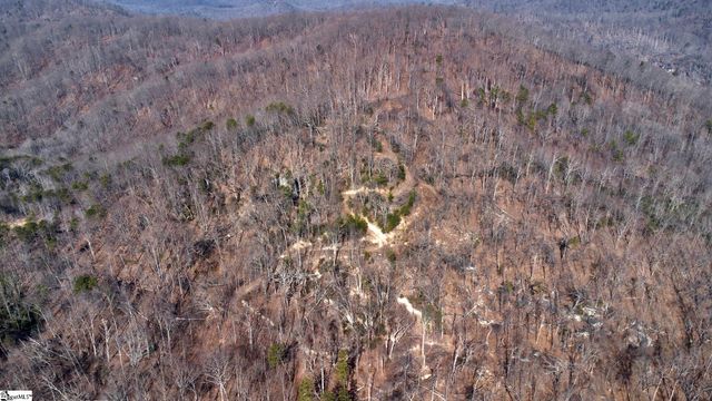 146 Glassy Falls Trail, Travelers Rest, SC 29690