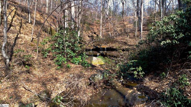 146 Glassy Falls Trail, Travelers Rest, SC 29690