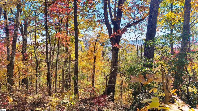 146 Glassy Falls Trail, Travelers Rest, SC 29690