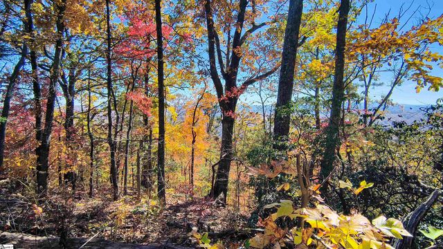 146 Glassy Falls Trail, Travelers Rest, SC 29690