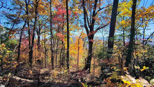 146 Glassy Falls Trail, Travelers Rest, SC 29690