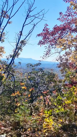 146 Glassy Falls Trail, Travelers Rest, SC 29690