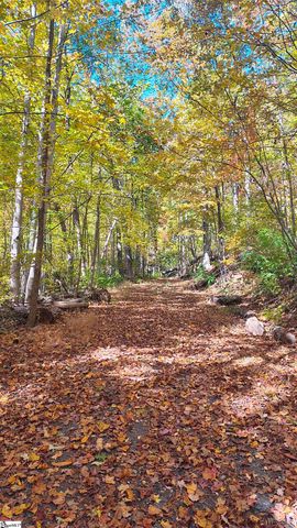 146 Glassy Falls Trail, Travelers Rest, SC 29690