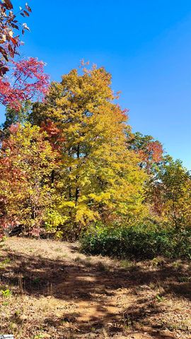 146 Glassy Falls Trail, Travelers Rest, SC 29690