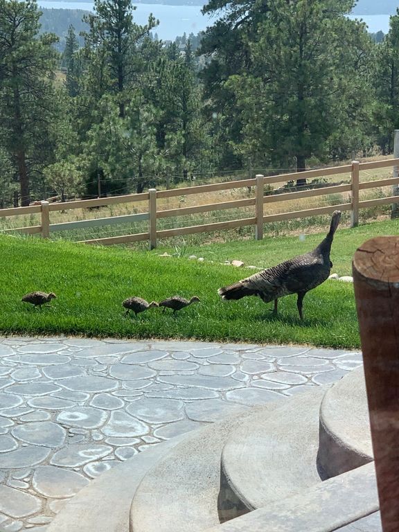 4220 Sunset Ridge Drive, Helena, MT 59602 photo 73