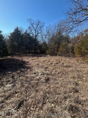 6050 E Chestnut Drive, Claremore, OK 74019