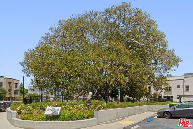 551 Daniel Freeman Circle, Inglewood, CA 90301