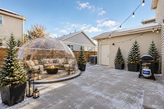 3688 Dexter Court, Denver, CO 80207