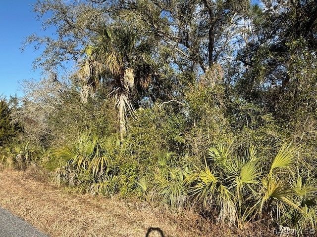 85 N West Avenue, Inverness, FL 34453