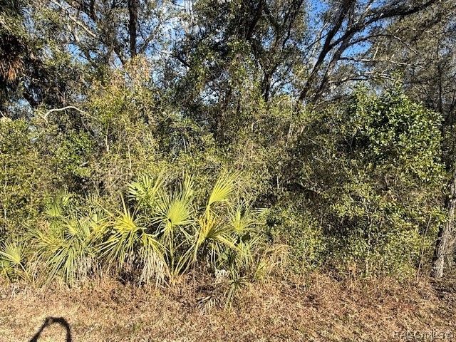 85 N West Avenue, Inverness, FL 34453