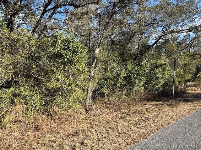 85 N West Avenue, Inverness, FL 34453