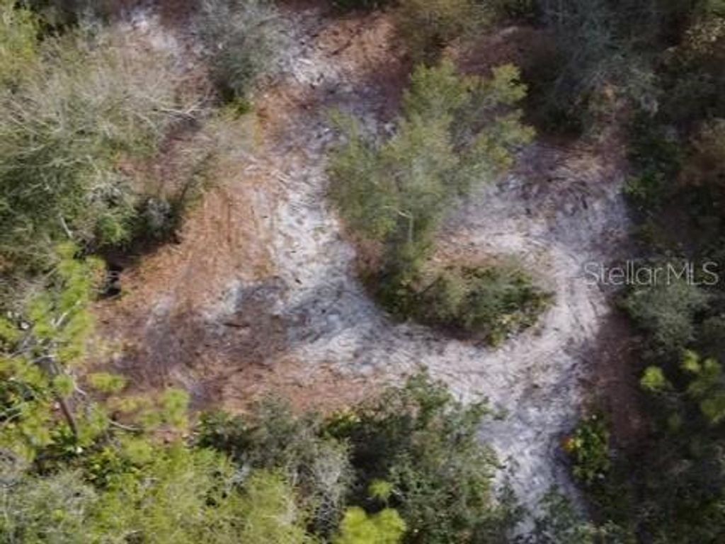 Image 6 of property listing at 29181 DEFIANCE AVENUE, Punta Gorda, FL 33982