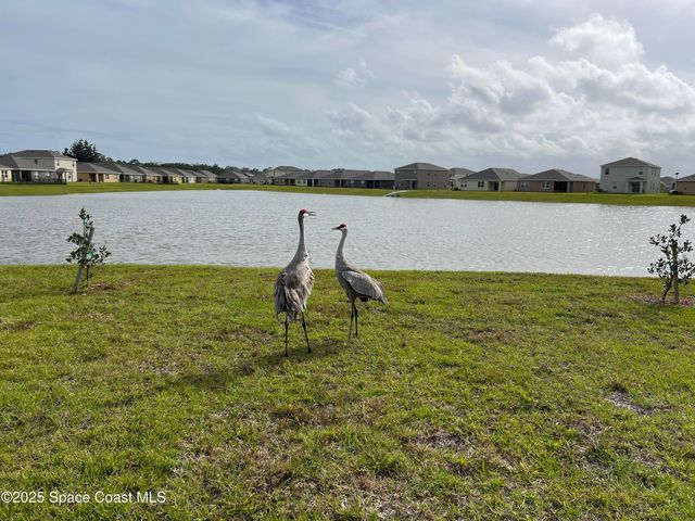 976 Trinity Street, Rockledge, FL 32955