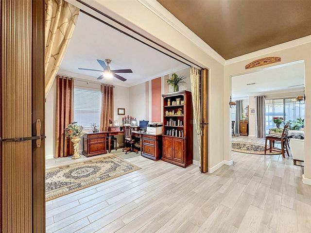 31527 CANNON RUSH DRIVE, San Antonio, FL 33576