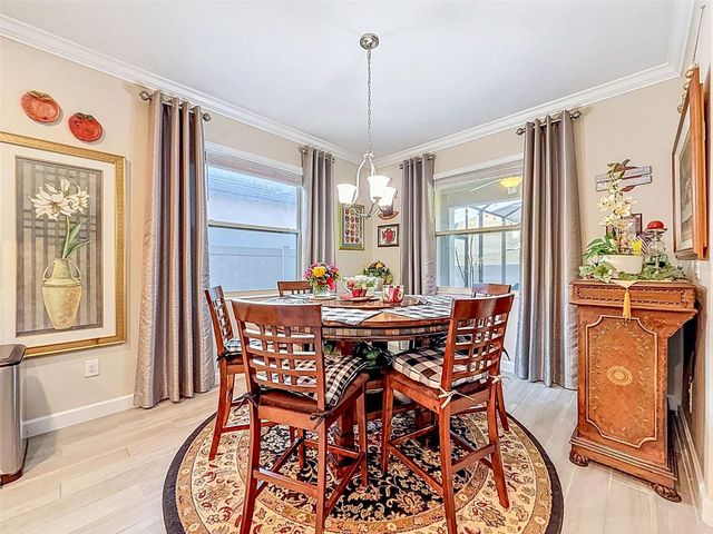31527 CANNON RUSH DRIVE, San Antonio, FL 33576