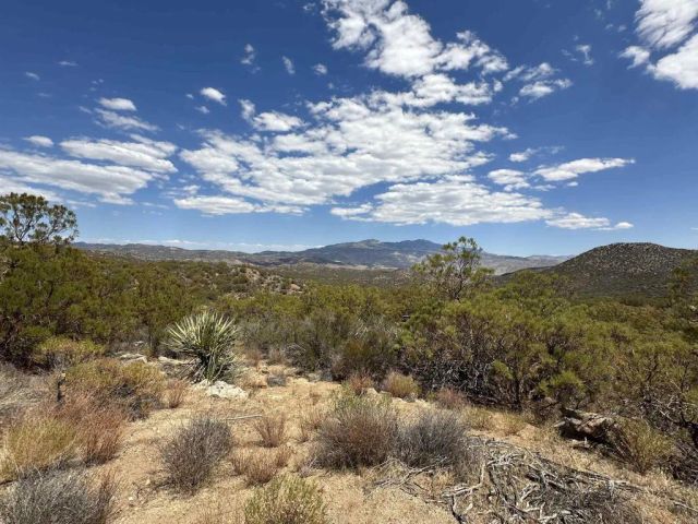 59675 Upper Tule, Anza, CA 92539