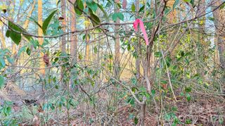 00 Toms Park Circle 21&22, Hendersonville, NC 28792