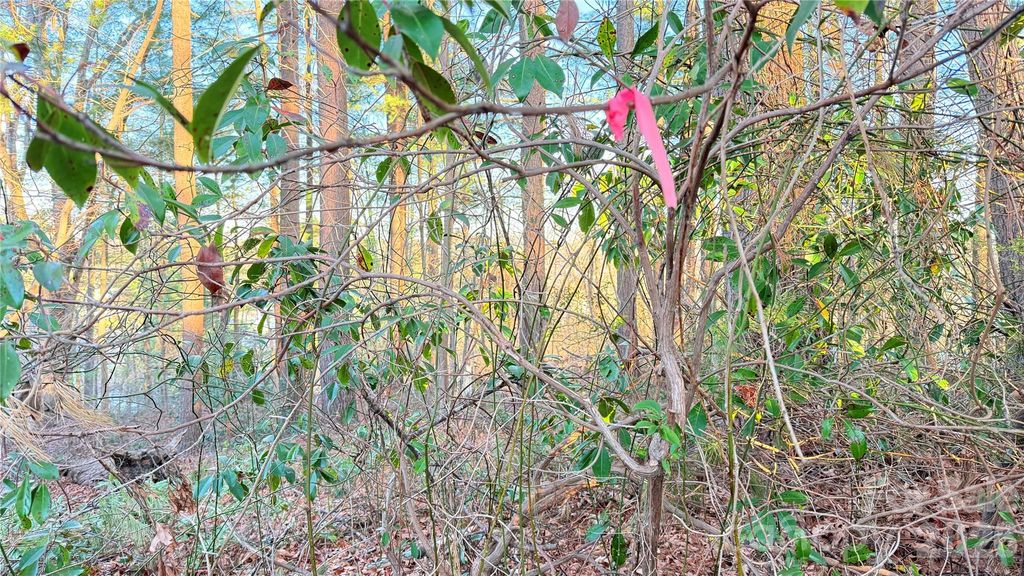 00 Toms Park Circle 21&22, Hendersonville, NC 28792