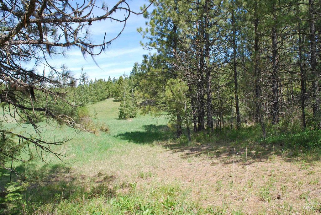 4975 Middle Road, Lenore, ID 83541 photo 24