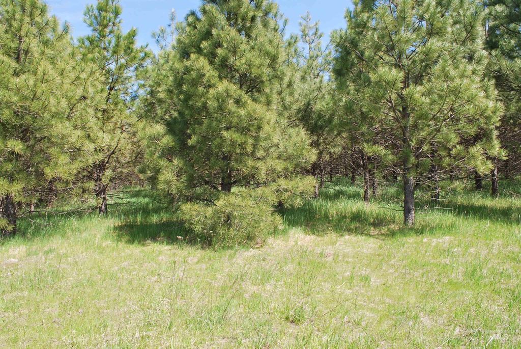 4975 Middle Road, Lenore, ID 83541 photo 25