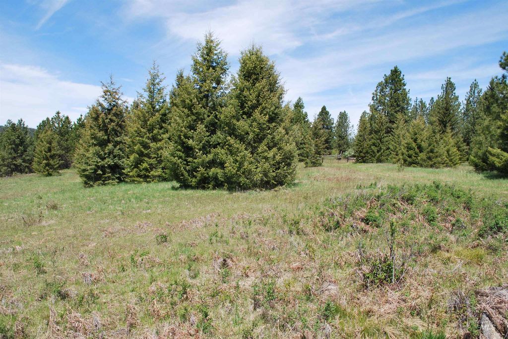 4975 Middle Road, Lenore, ID 83541 photo 29