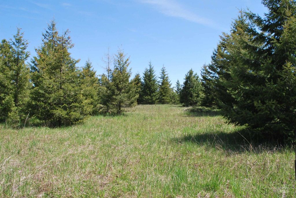 4975 Middle Road, Lenore, ID 83541 photo 30