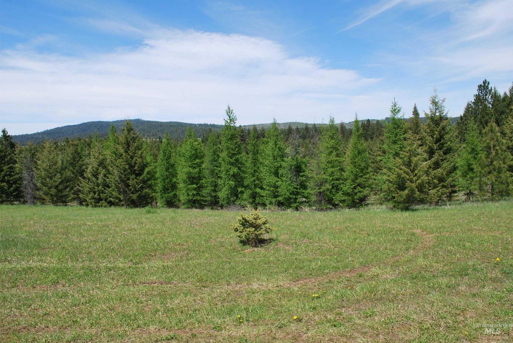 4975 Middle Road, Lenore, ID 83541 photo 40