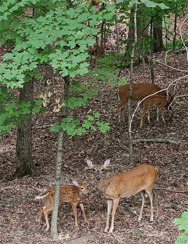 138 N Lake Sherwood Dr., Lake Sherwood, MO 63357