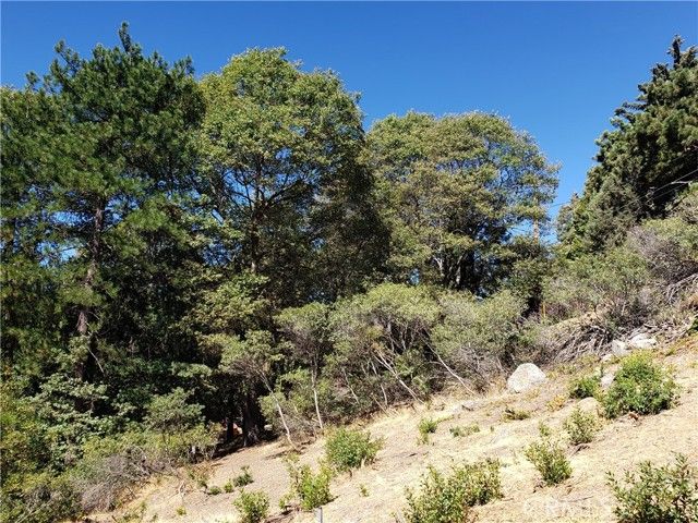 25134 Grandview Drive, Crestline, CA 92325