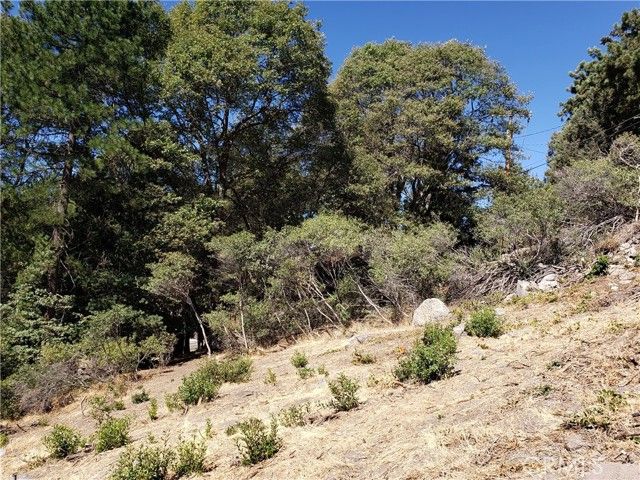 25134 Grandview Drive, Crestline, CA 92325