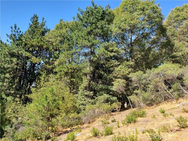 25134 Grandview Drive, Crestline, CA 92325