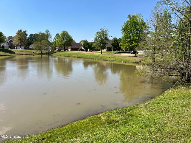 1390 E Lake Front Drive, Hernando, MS 38632