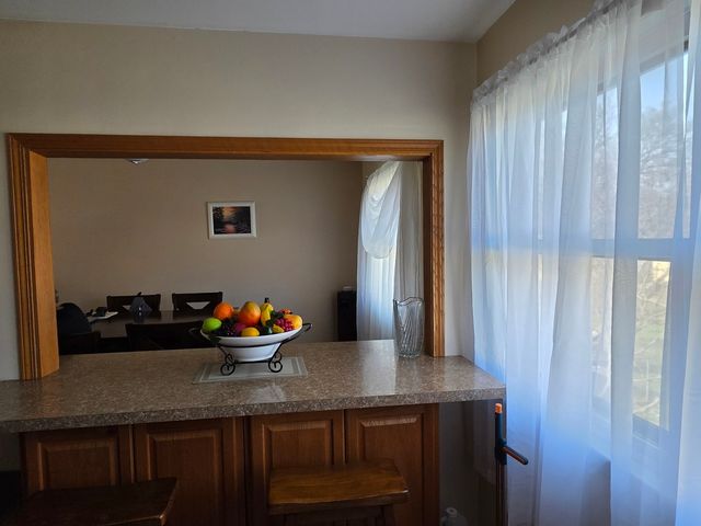 807 W Manor Court W, Glenwood, IL 60425