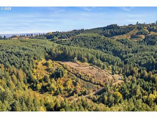 37251 Sw THIMBLEBERRY Dr, Gaston, OR 97119