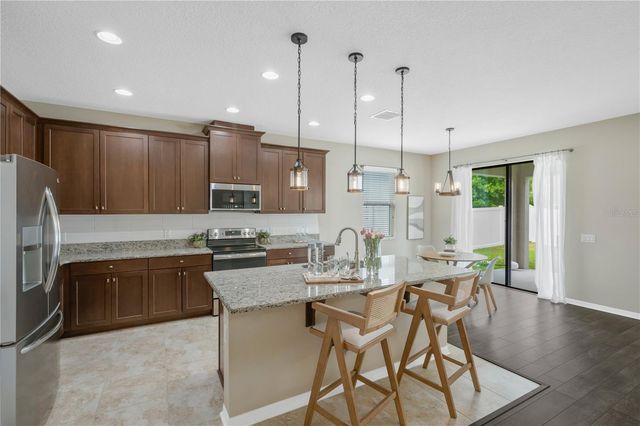 11450 AMAPOLA BLOOM COURT, Riverview, FL 33579