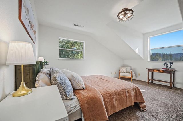 17050 Rams Horn Grade, Volcano, CA 95689