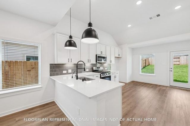 21242 Jacaranda Blossom Way, Tomball, TX 77447