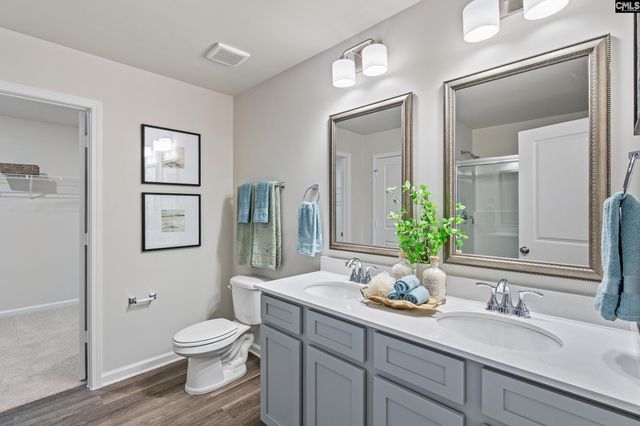 173 Calm Citadel Drive, Pelion, SC 29123