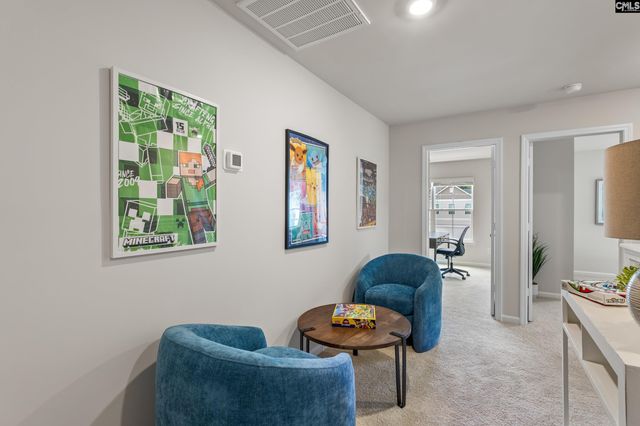 173 Calm Citadel Drive, Pelion, SC 29123