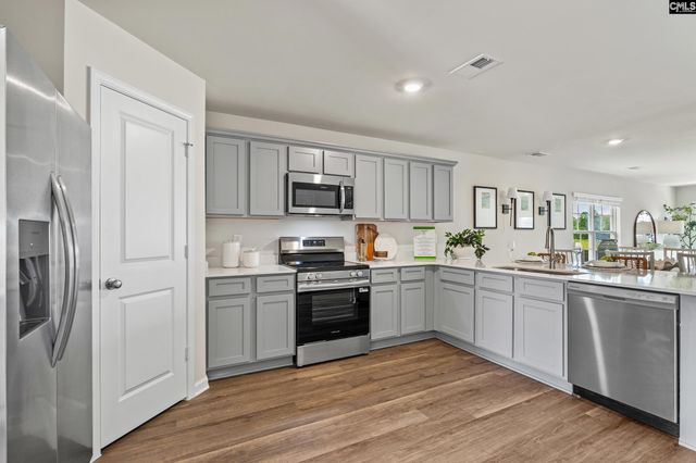 173 Calm Citadel Drive, Pelion, SC 29123